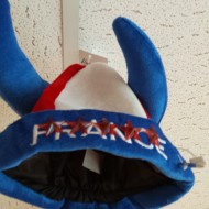 Euro 2016 bonnet